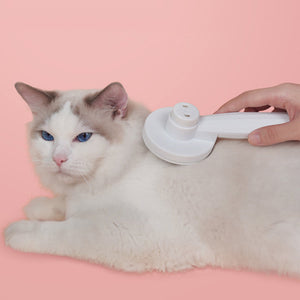 Slicker borstels voor huisdier