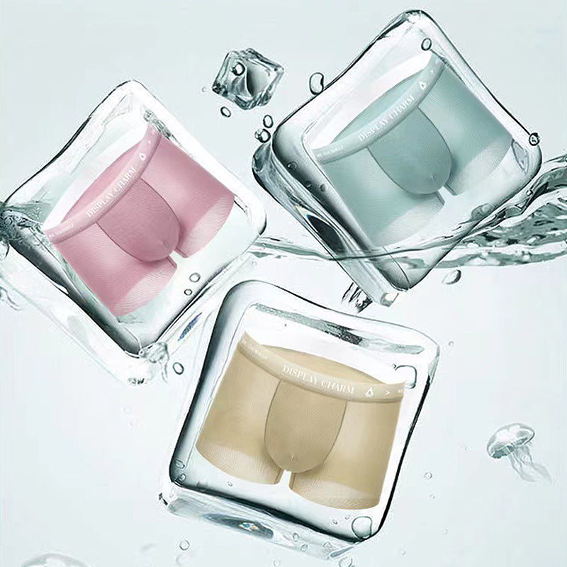 Naadloos ondergoed van ijszijde voor heren