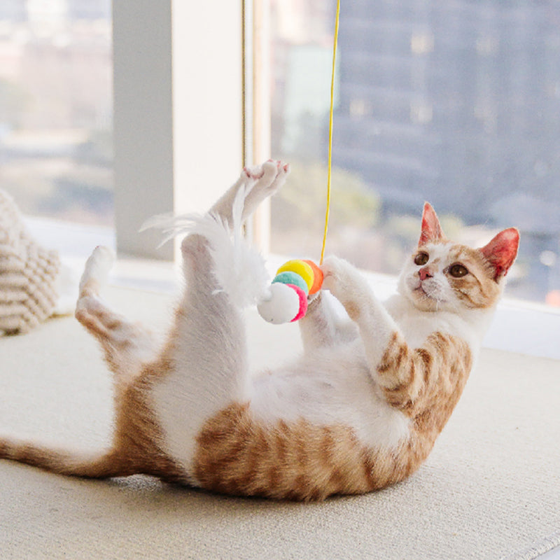Hangend stuiterend katten speelgoed