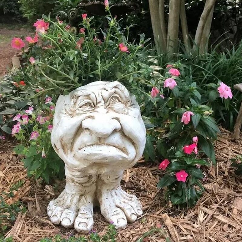 Grappige uitdrukking bloempot