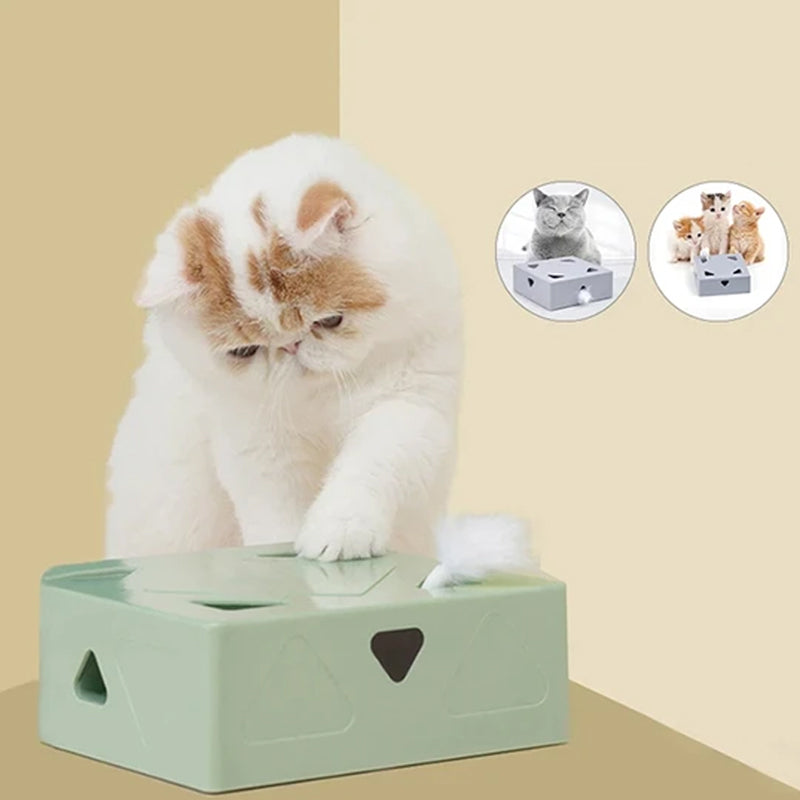 Elektrische Funbox voor Katten