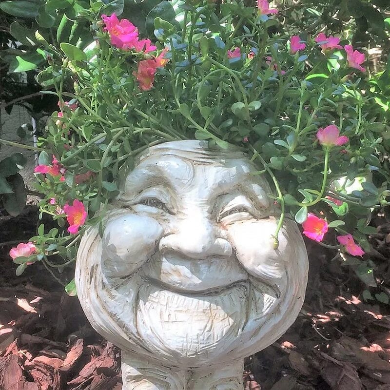 Grappige uitdrukking bloempot