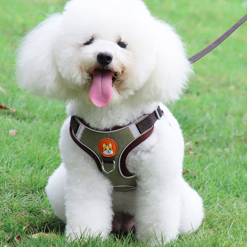 Reflecterende huisdierharnas en riemset