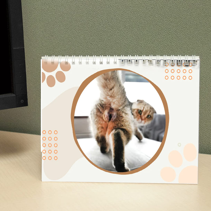 Grappige kattenballen kalender 2024