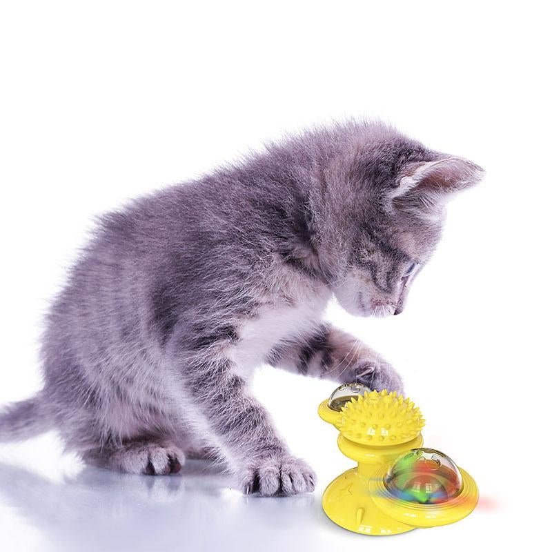 Windmolen Kattenspeeltje