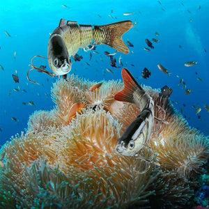 Bionisch Kunstaas Set