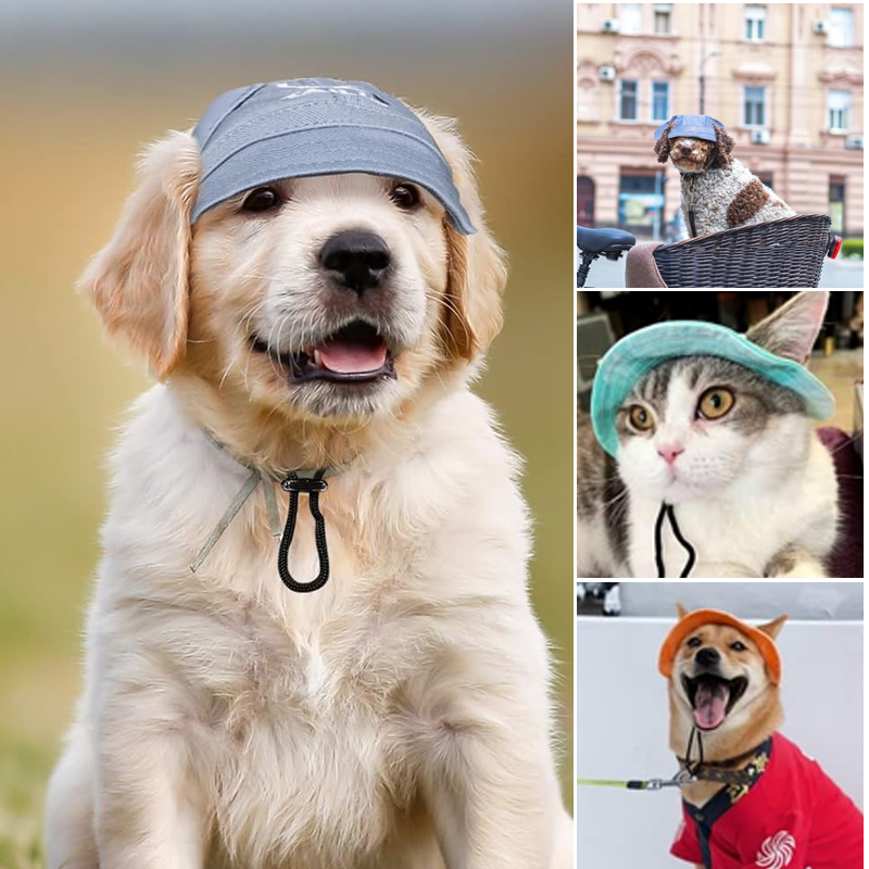 Buitenzonweringkap voor honden