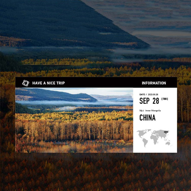 Patroonkalender voor vliegticketpatronen