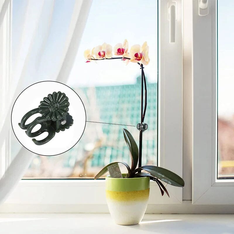Clips voor planten