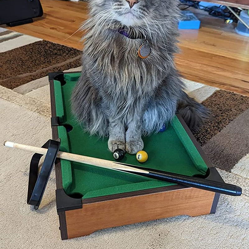 Mini-biljarttafel Interactief kattenspeelgoed voor het huishouden