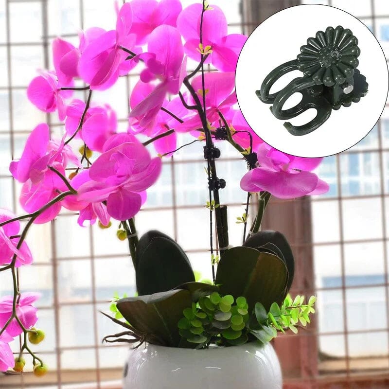 Clips voor planten