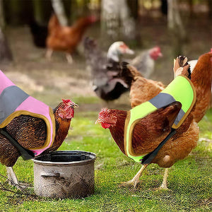 Verstelbaar kippenharnas Kip huisdier reflecterend vest