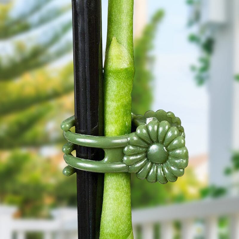 Clips voor planten