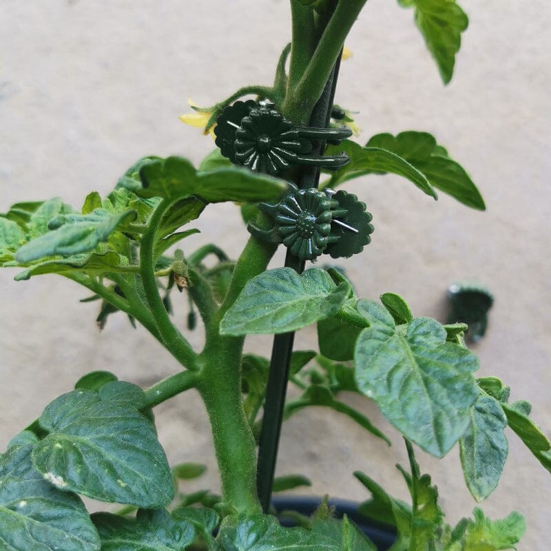 Clips voor planten