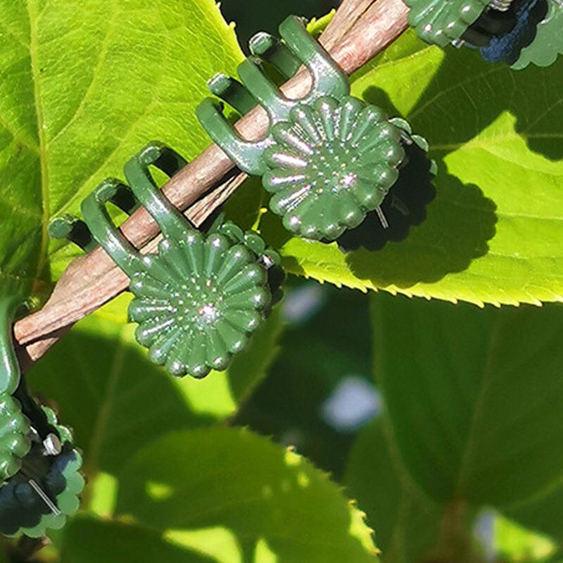 Clips voor planten