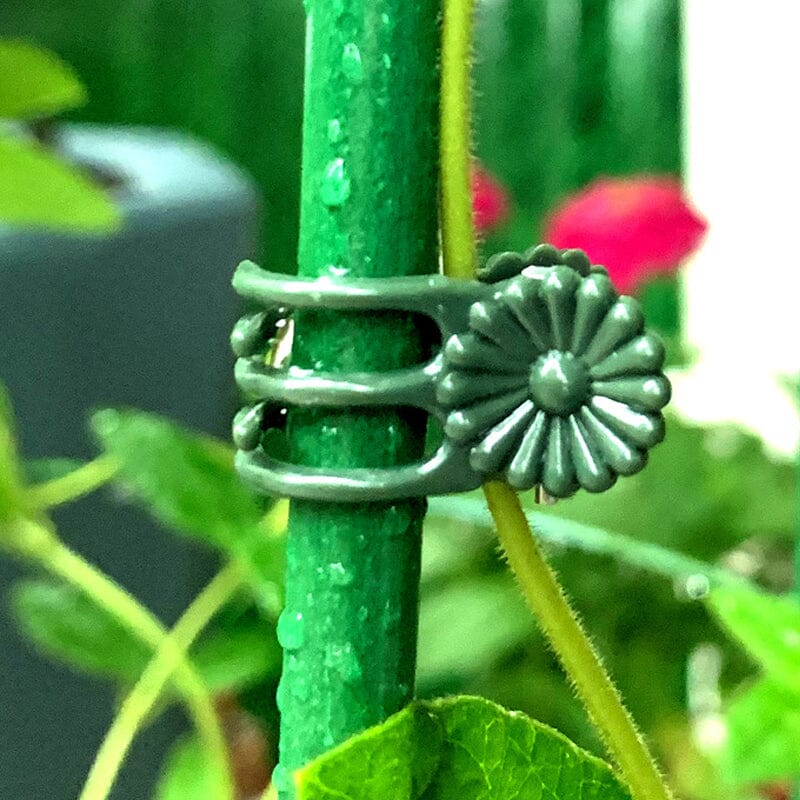 Clips voor planten