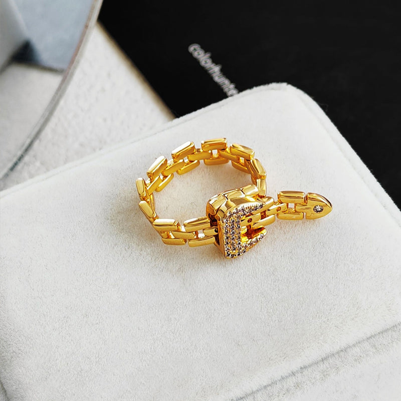 Ketting riem gesp-ring