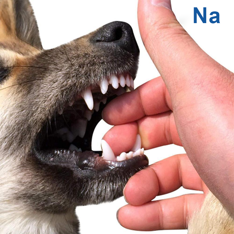 Honden Kauwborstel Tandenborstel | Tandenreinigingsspeelgoed