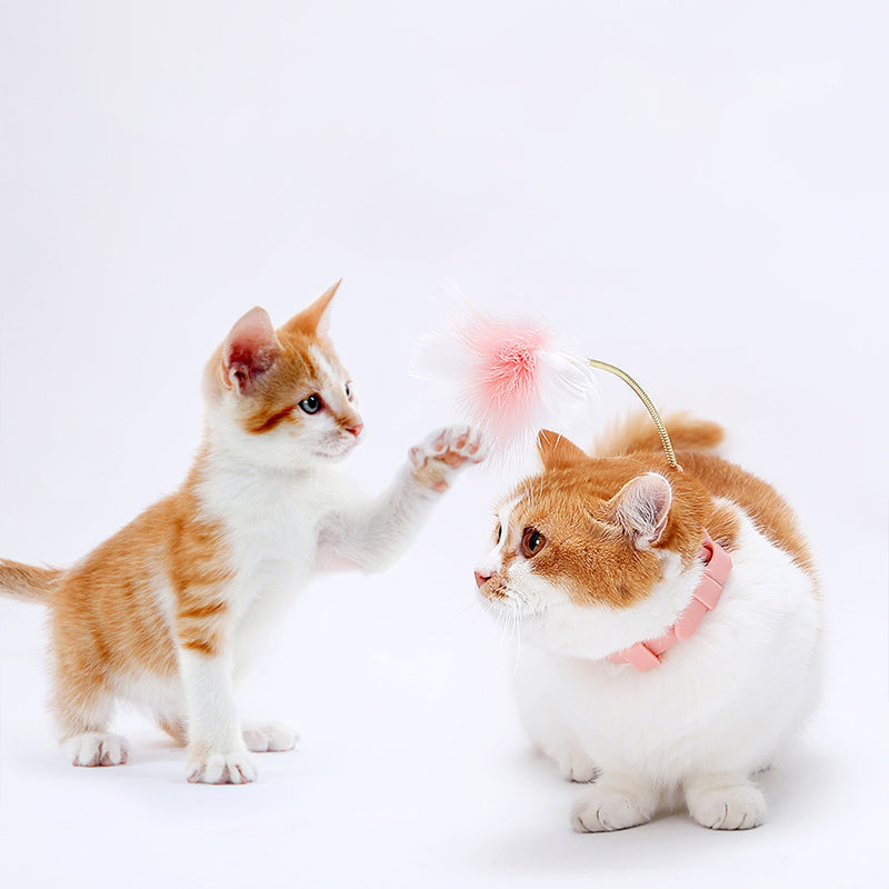 Siliconen katten stokje