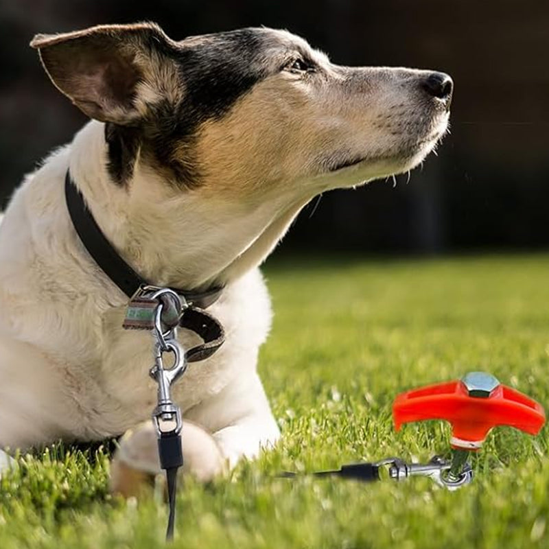 Lichtgevende zeshoekige spiraalvormige fluorescerende nagel van koolstofstaal