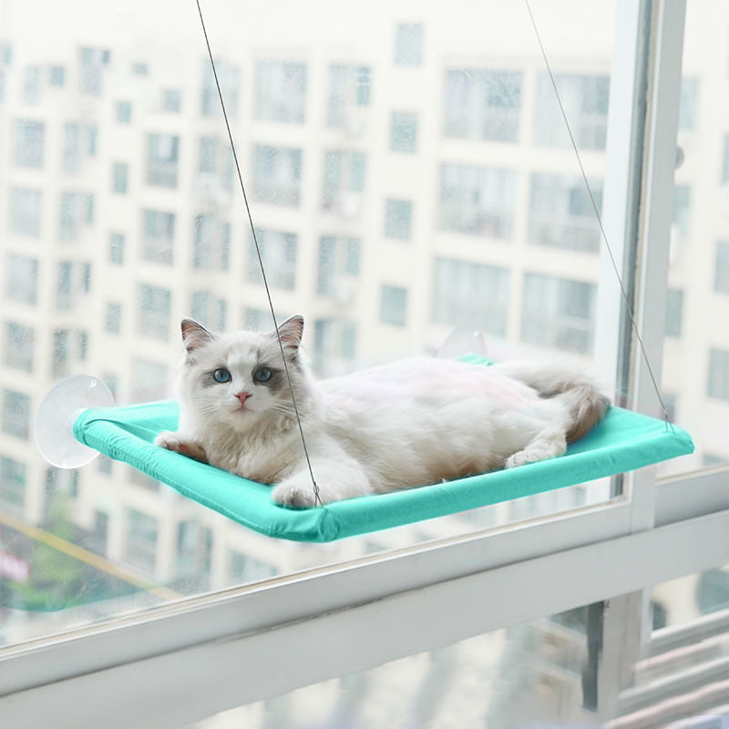 Dierbenodigdheden Zuignap Kat Hangmat