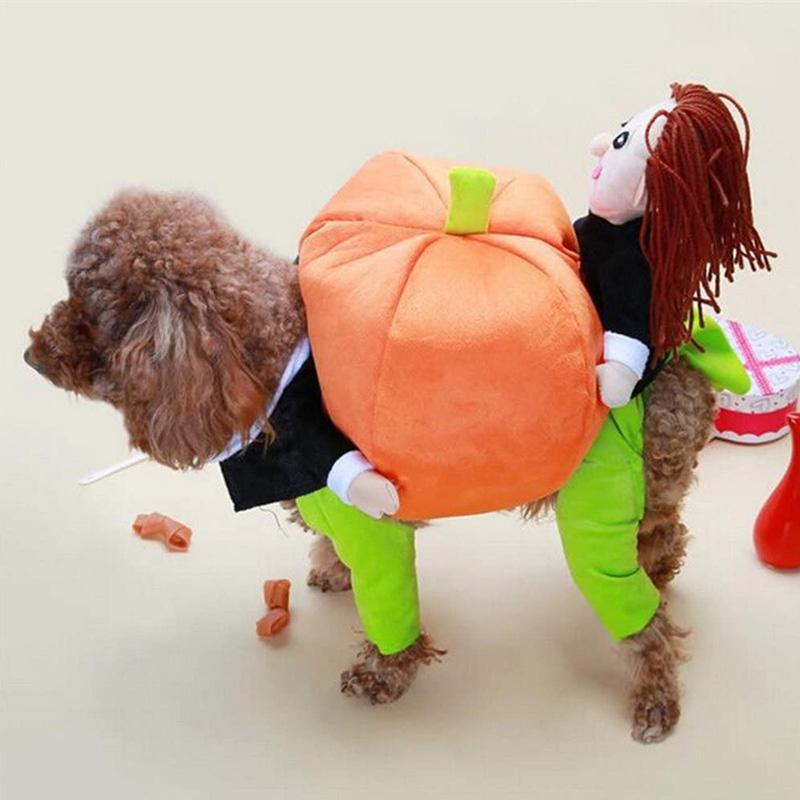 Halloween-kostuum voor hondenpompoen