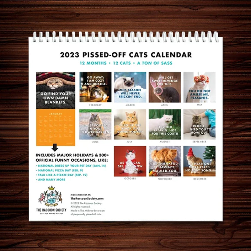 😾Kalender voor pissige katten 2024