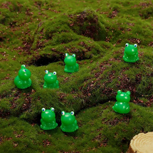 Uitdagingsspeelgoed voor kleine kikkers verbergen