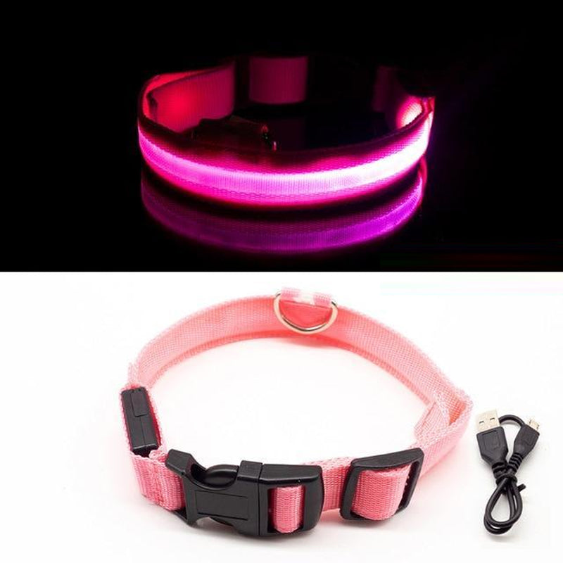LED-halsband voor huisdieren