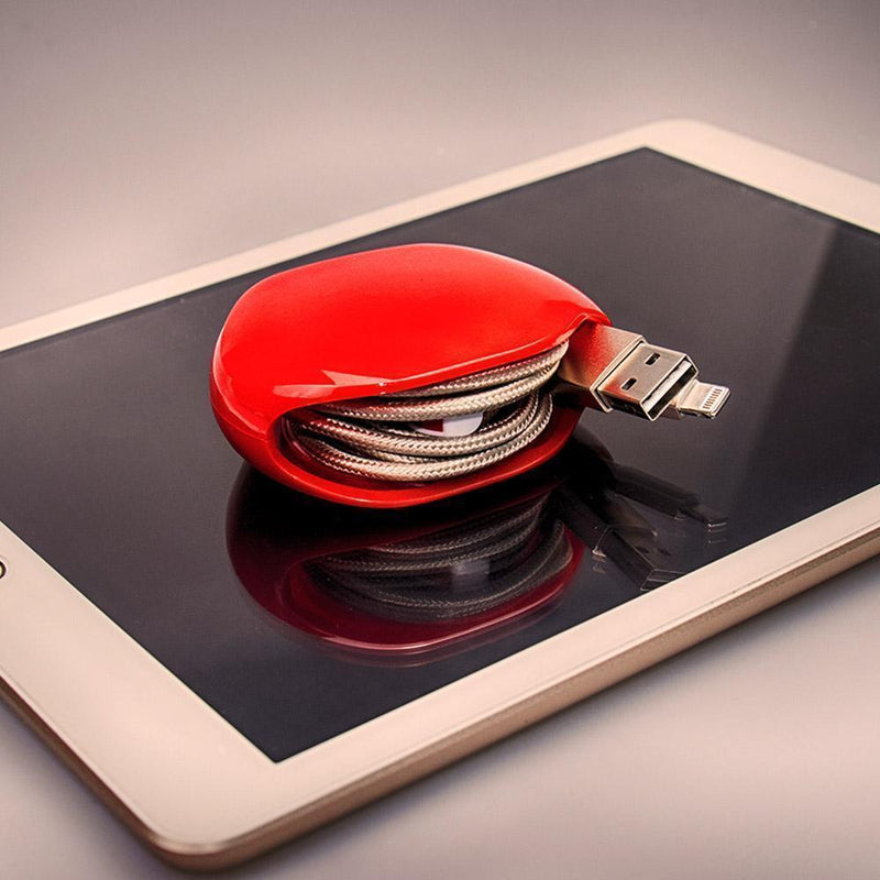 Snoerloze draagbare manager