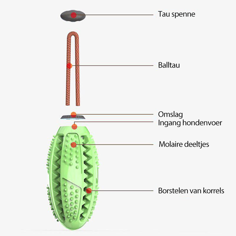 Hondentandenborstel Speelgoed