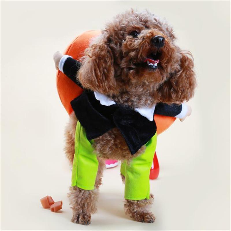 Halloween-kostuum voor hondenpompoen