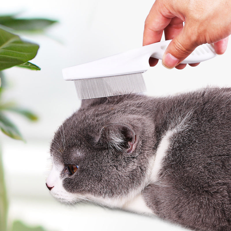 Multifunctionele dierenhaarkam voor het verwijderen van vlooien- en traanvlekken