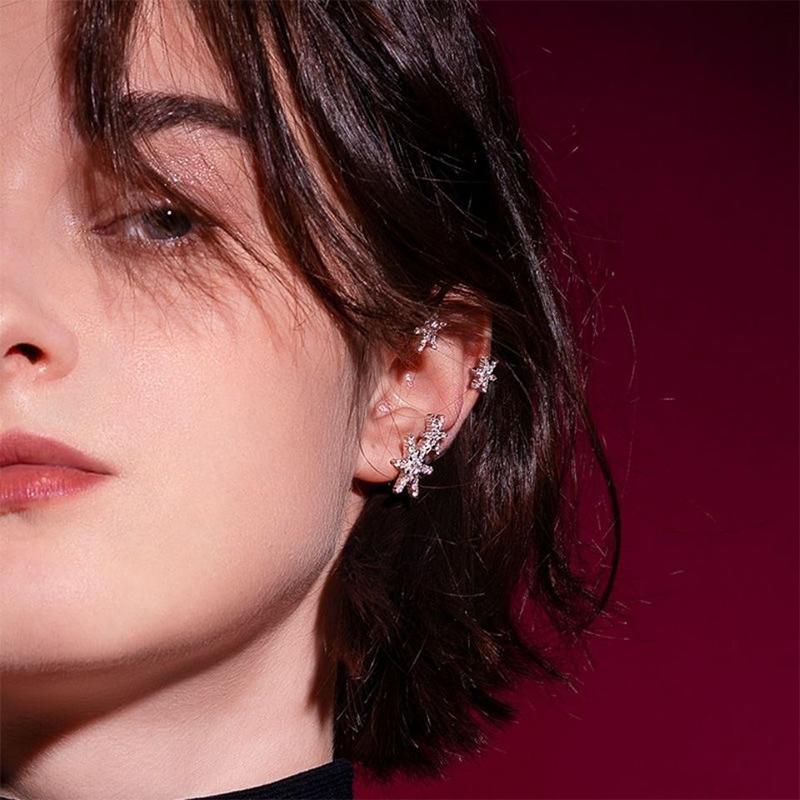 Sneeuwvlok Oorbellen