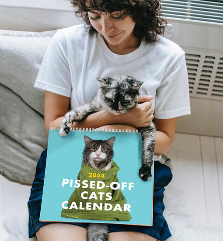 😾Kalender voor pissige katten 2024