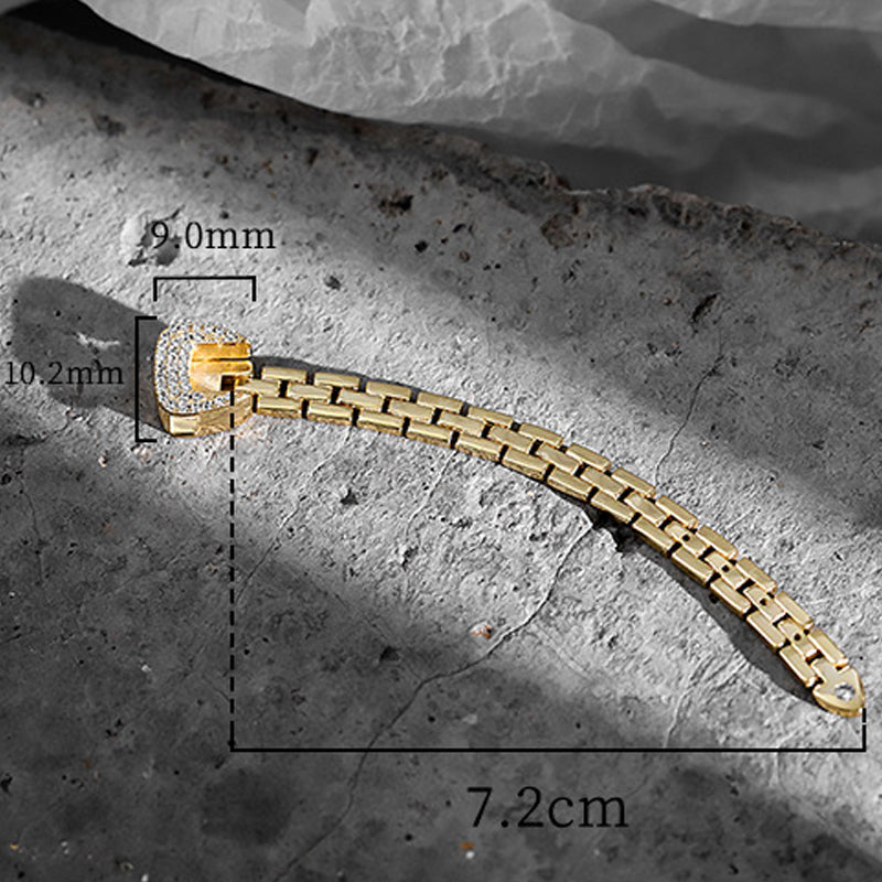 Ketting riem gesp-ring