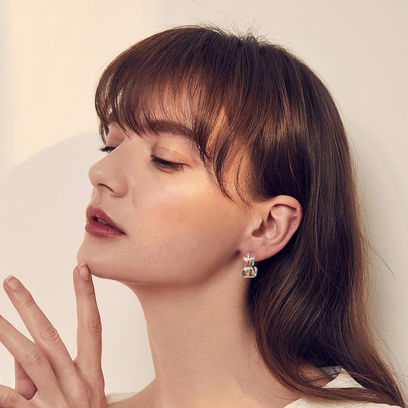 Kat Oorbellen Met Boeken