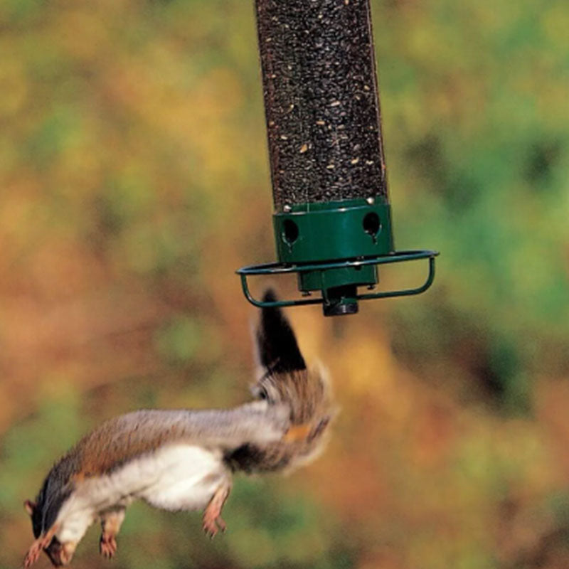 Eekhoorn bestendige vogelvoeder