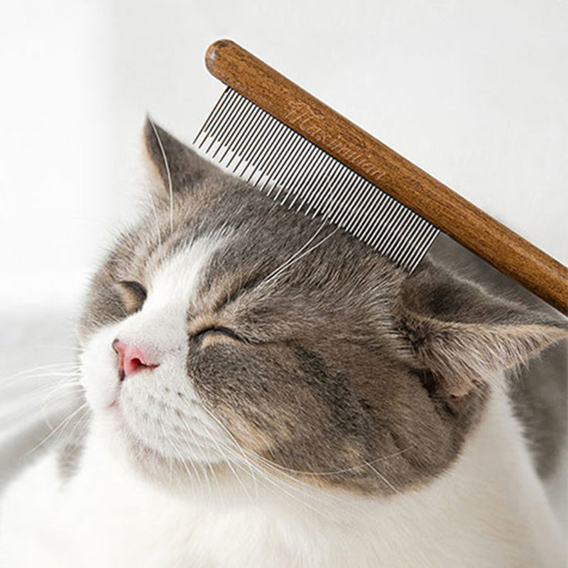 Pet Knot Comb met houten handvat