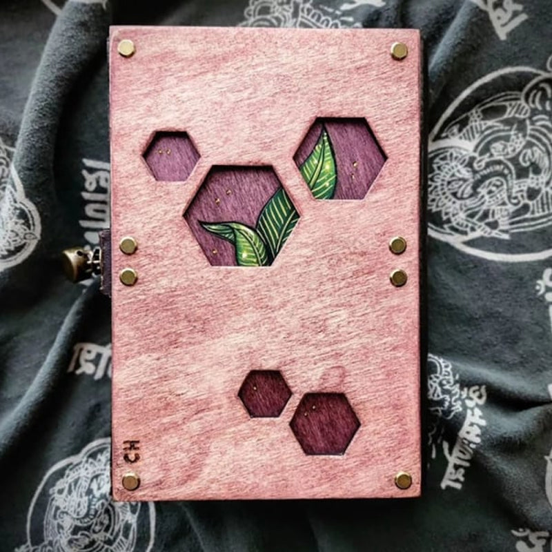 Schedel verborgen sleuteldagboek