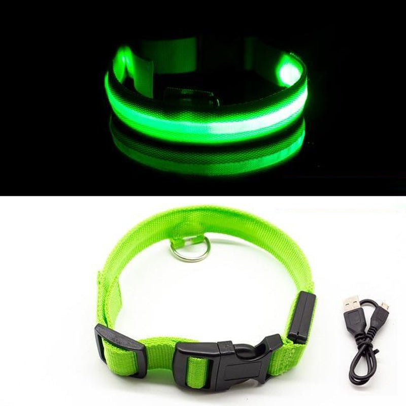 LED-halsband voor huisdieren