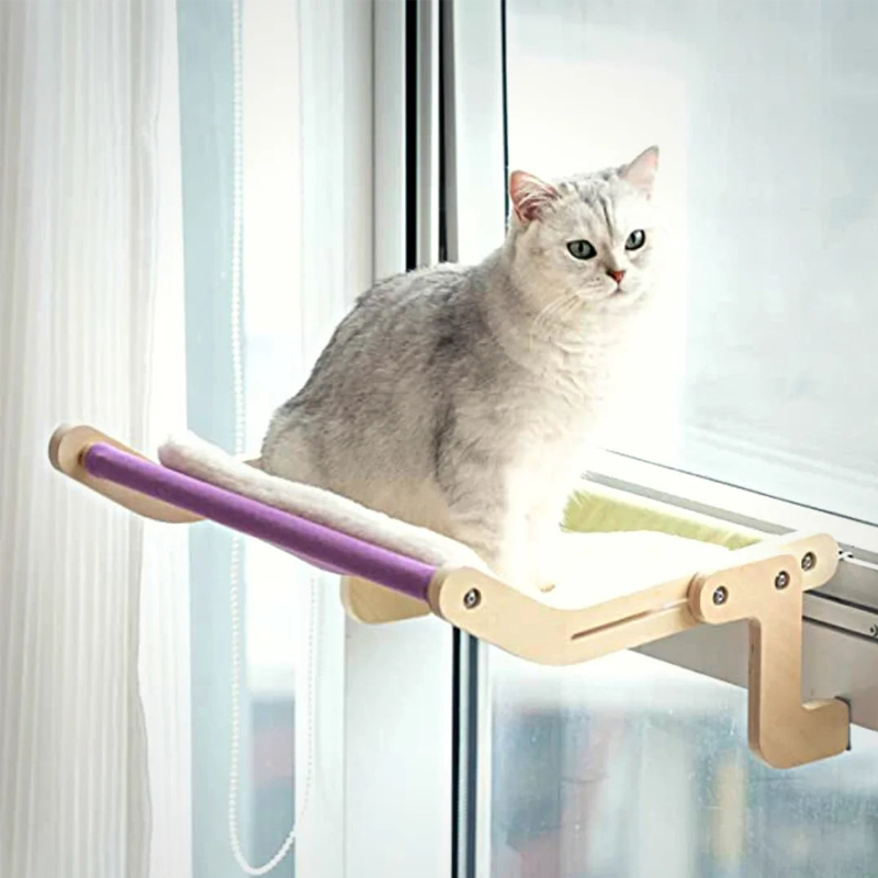 Kattenmand voor het raam