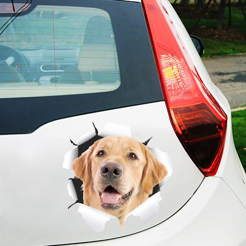 3D-simulatie Leuke creatieve autostickers