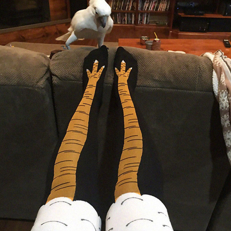 Sokken Met KippenPoten