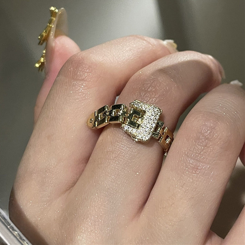 Ketting riem gesp-ring