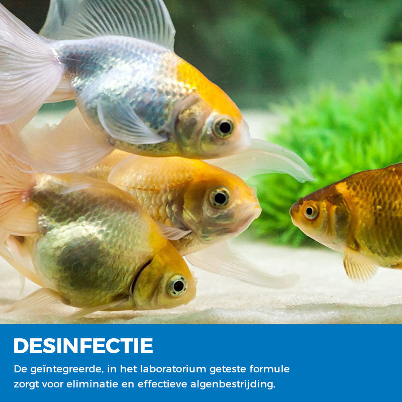Aquarium zuiverend poeder
