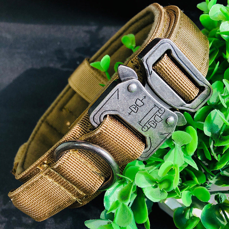 Halsband Met Handvat