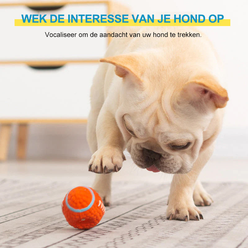 Onbreekbare peelgoed voor agressieve kauwers