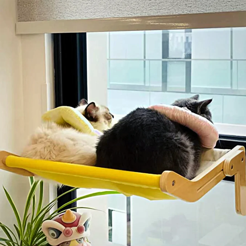 Kattenmand voor het raam