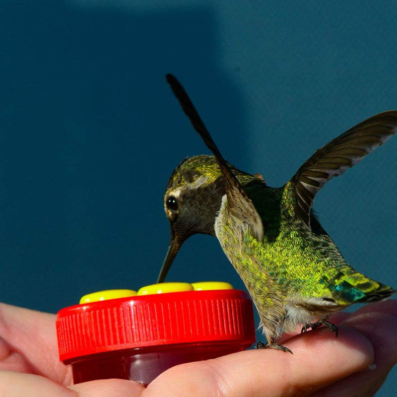 Flower Bar Hummingbird voeder